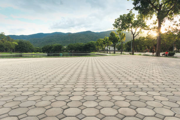Best Residential Paver Driveway  in Stafford Courthouse, VA